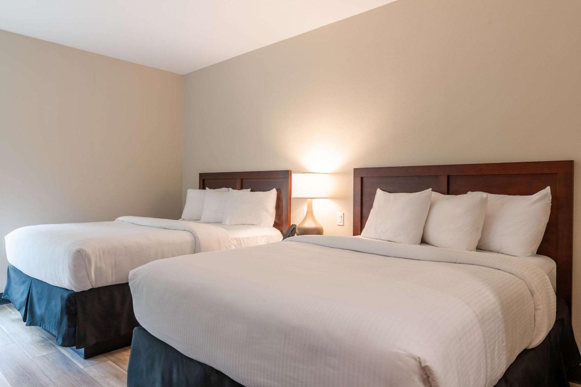 The Chandler At White Mountains, An Ascend Hotel Collection Membe Bethlehem Exterior foto